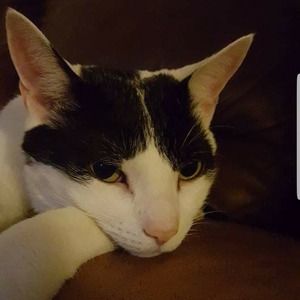 Meet your Posher, Dee